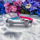 Build-Your-Own Bone Gag