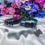 Build-Your-Own Nightingale's Canine