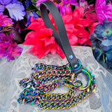 Rainbow metal leash w/ Black Biothane