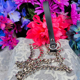 Silver leash with black biothane