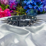 Build-Your-Own Faux Puppy