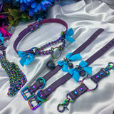Martingale Coquette Kitty Connection SET