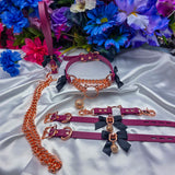 Martingale Coquette Kitty Connection SET