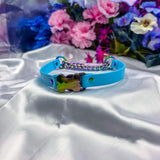 Build-Your-Own Pup Bone Martingale