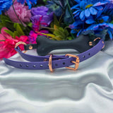 Build-Your-Own Bone Gag