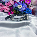 Named Faux Puppy (SAMPLE PREMADE)