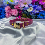 Build-Your-Own Faux Puppy