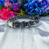 Build-Your-Own Nightingale's Canine