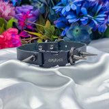 Build-Your-Own Faux Puppy