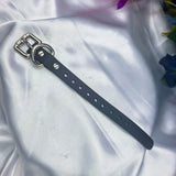 Buckle Collar Extender