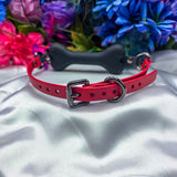 Build-Your-Own Bone Gag